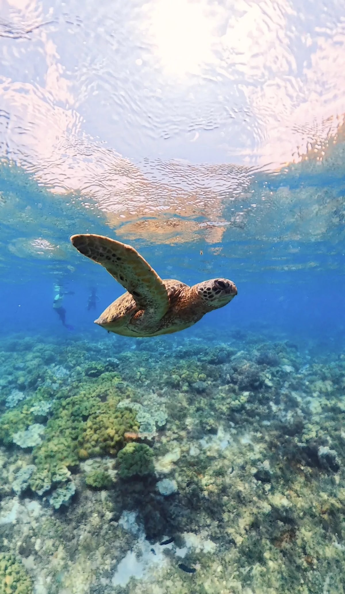 Siquijor, l’équilibre parfait entre nature, détente et ambiance festive — 1