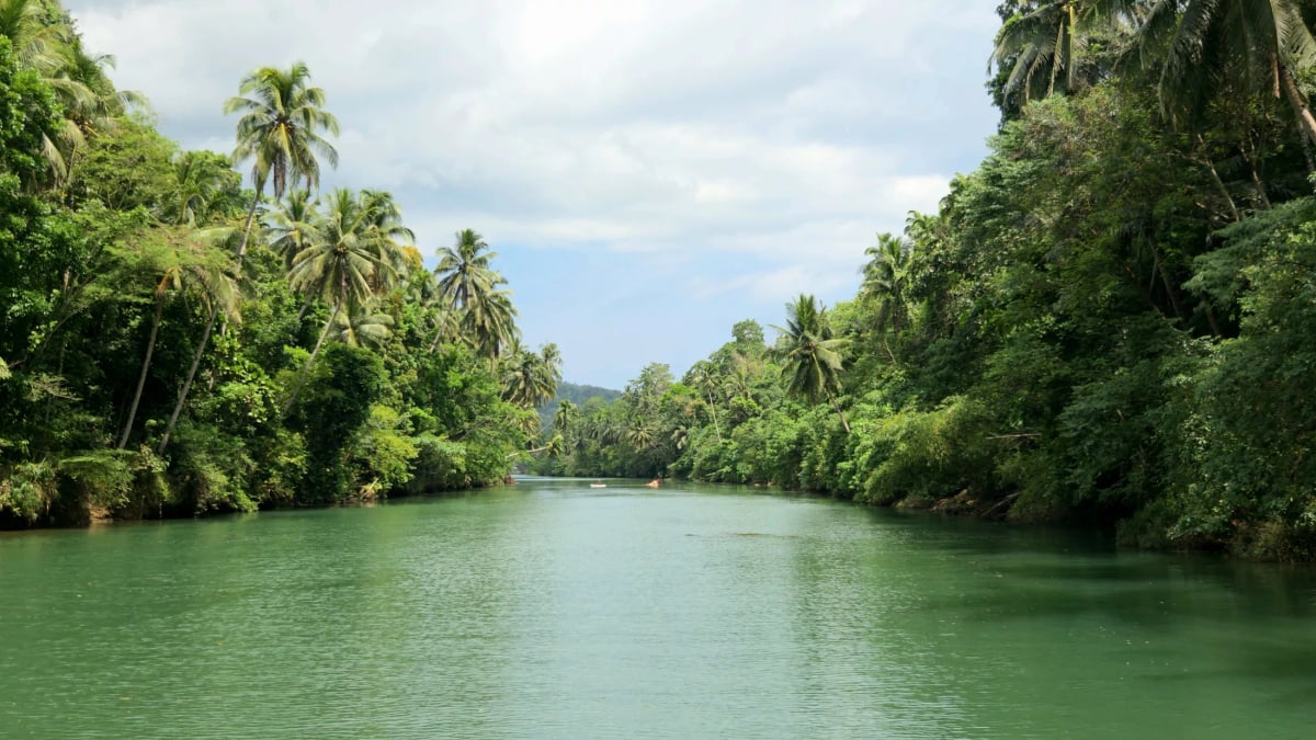 Quelques jours suspendus à Bohol