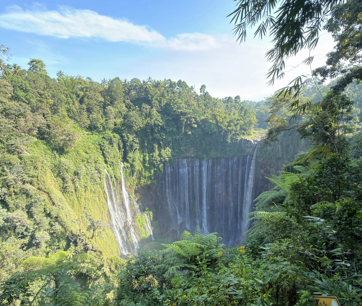 Java de l’Est : quand la nature voit les choses en grand — 1